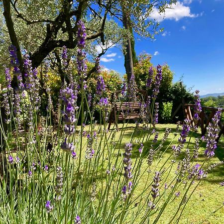Grove Cottage: Immersed In Nature & Close To Town Читта-делла-П'єве Екстер'єр фото