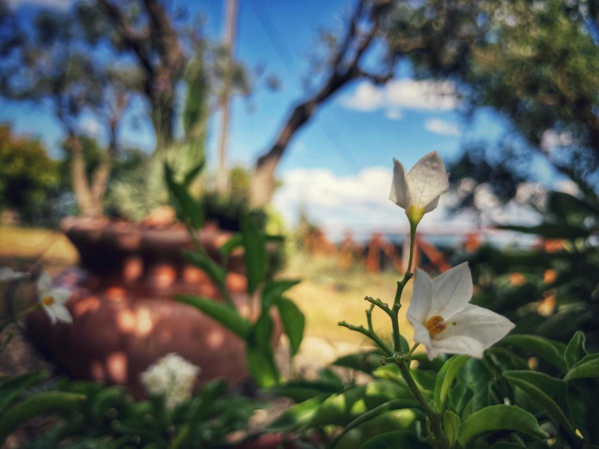 Grove Cottage: Immersed In Nature & Close To Town Читта-делла-П'єве Екстер'єр фото