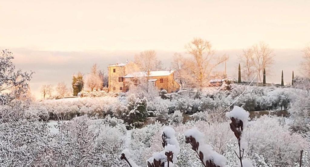 Grove Cottage: Immersed In Nature & Close To Town Читта-делла-П'єве Екстер'єр фото