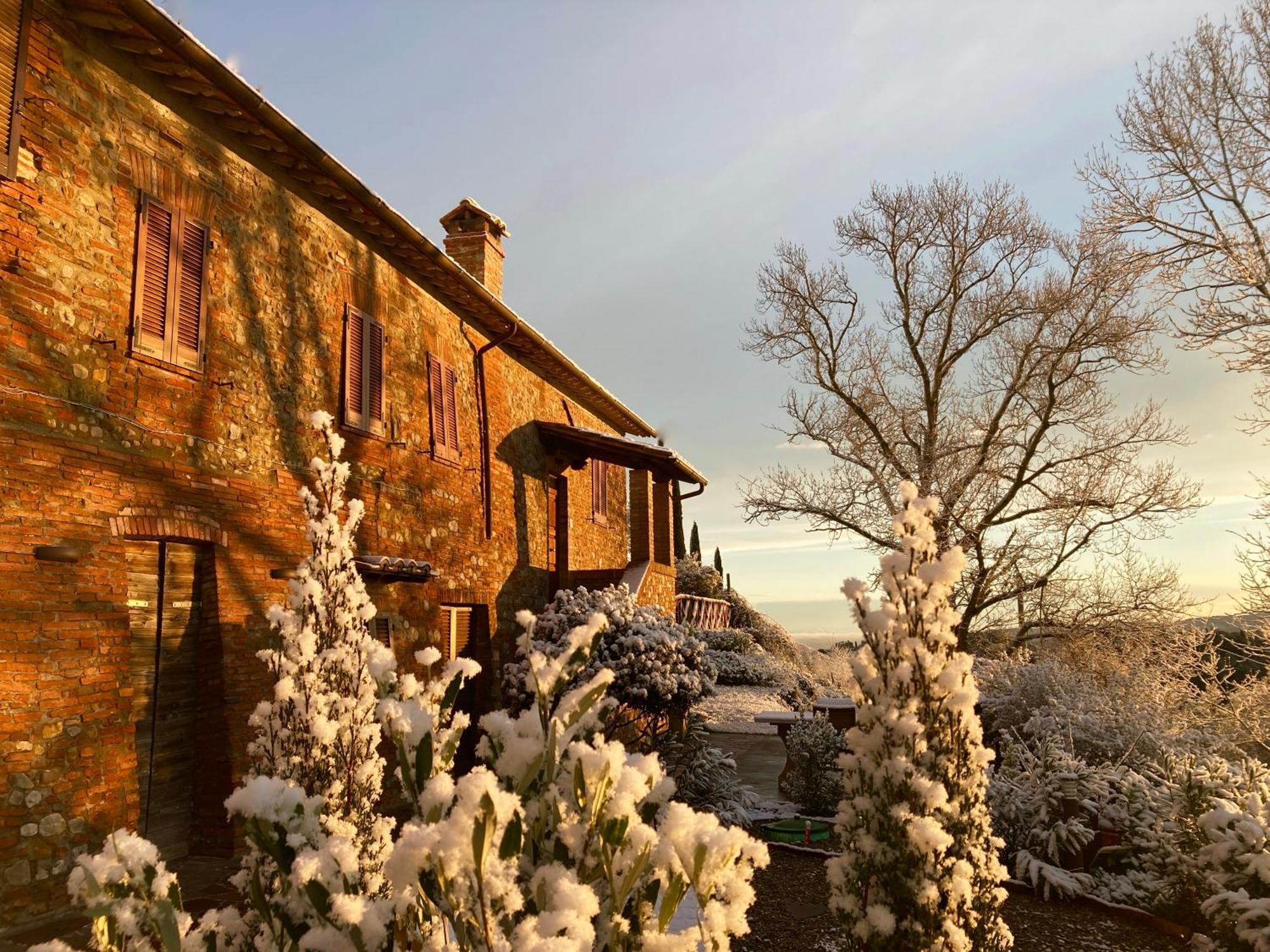 Grove Cottage: Immersed In Nature & Close To Town Читта-делла-П'єве Екстер'єр фото